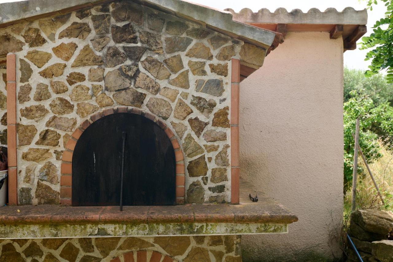 Antichi Palmenti - Rosmarino San Vincenzo